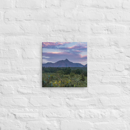Denali Sunset Canvas