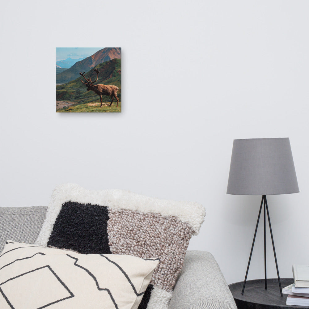 Caribou Valley Canvas