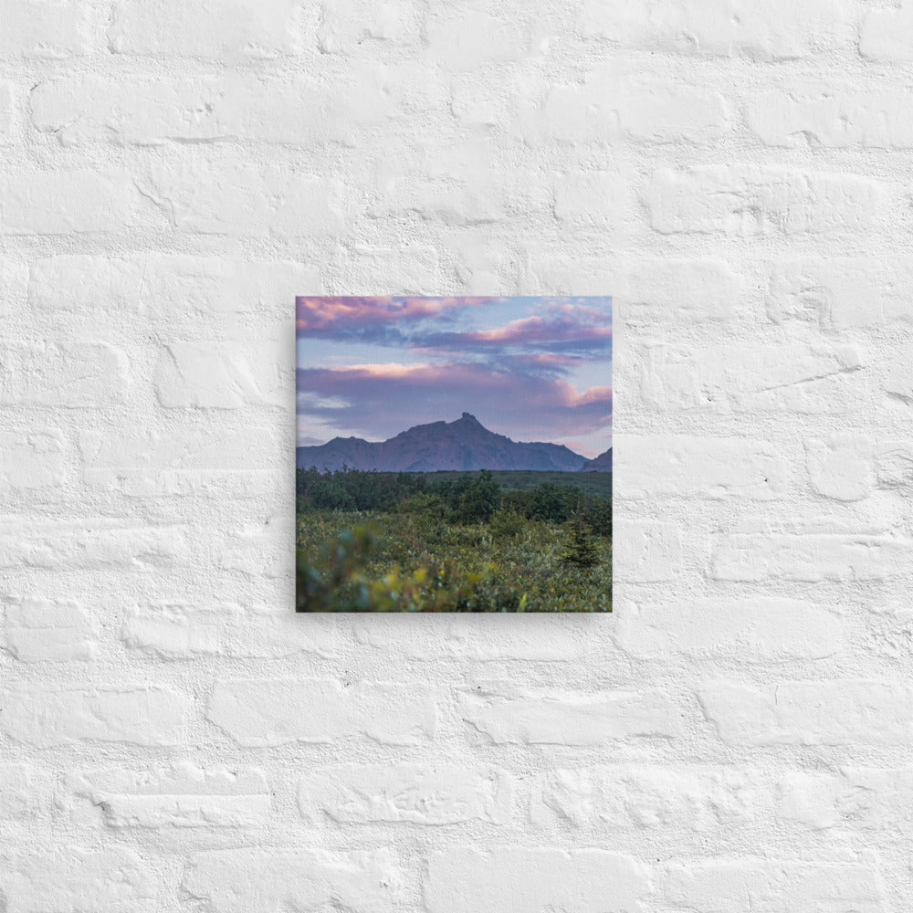 Denali Sunset Canvas