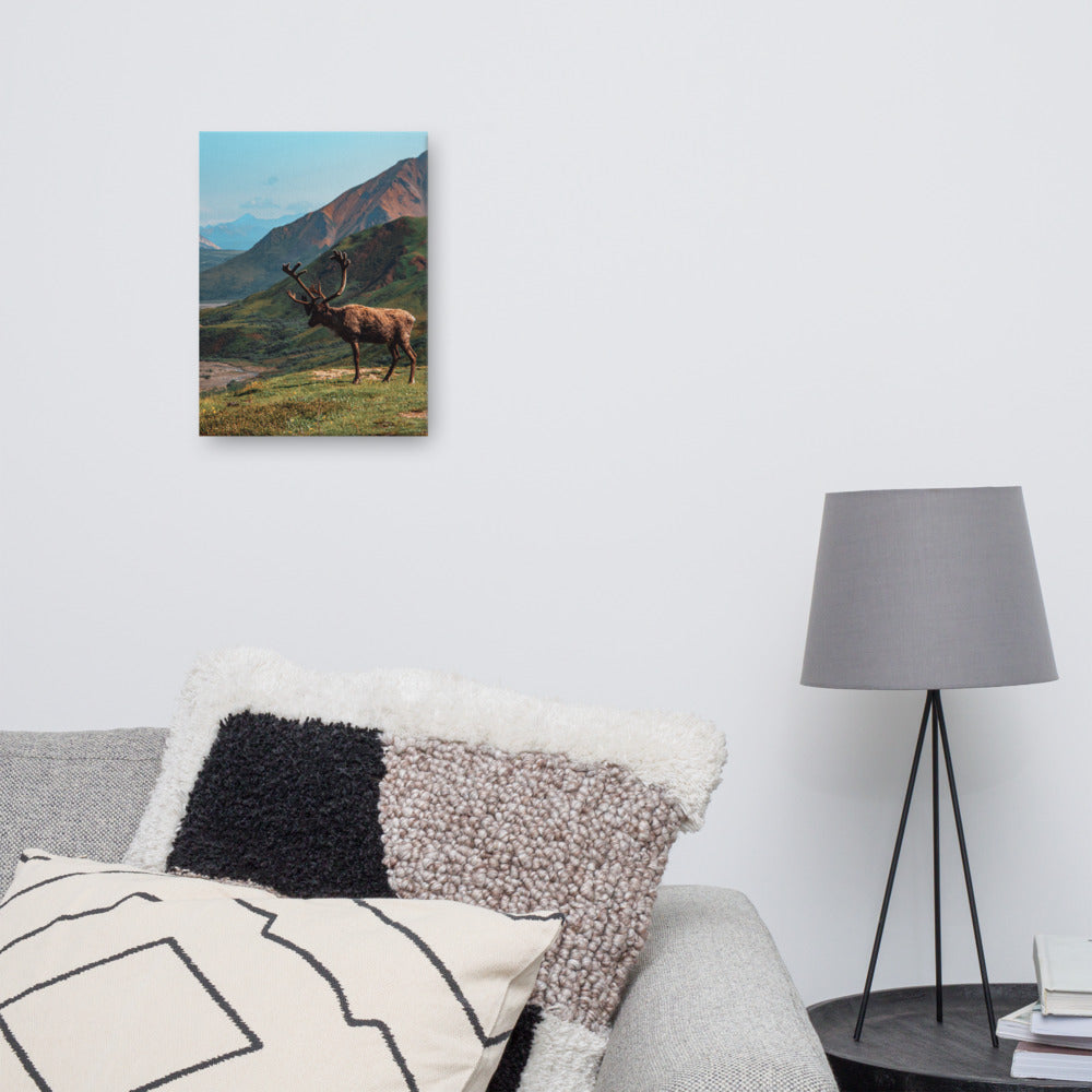 Caribou Valley Canvas