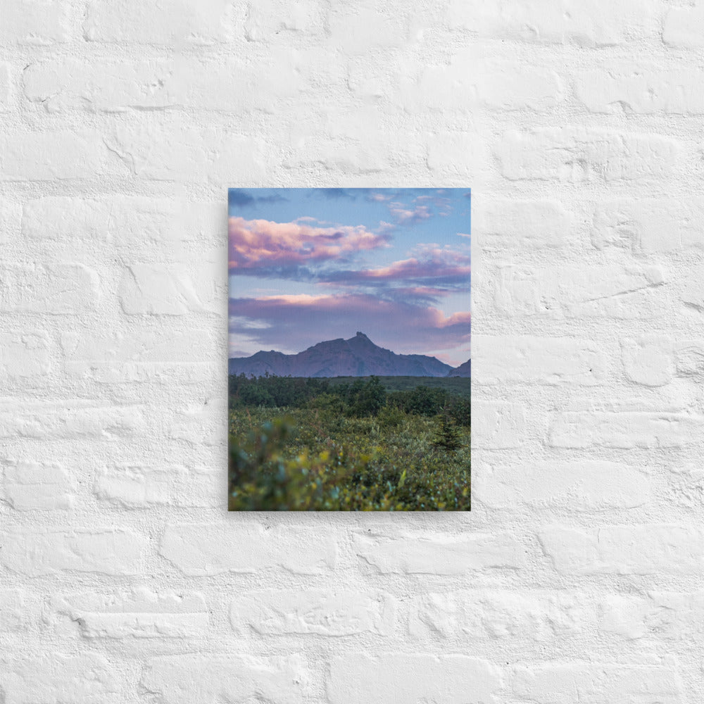 Denali Sunset Canvas