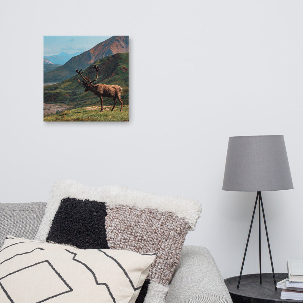 Caribou Valley Canvas