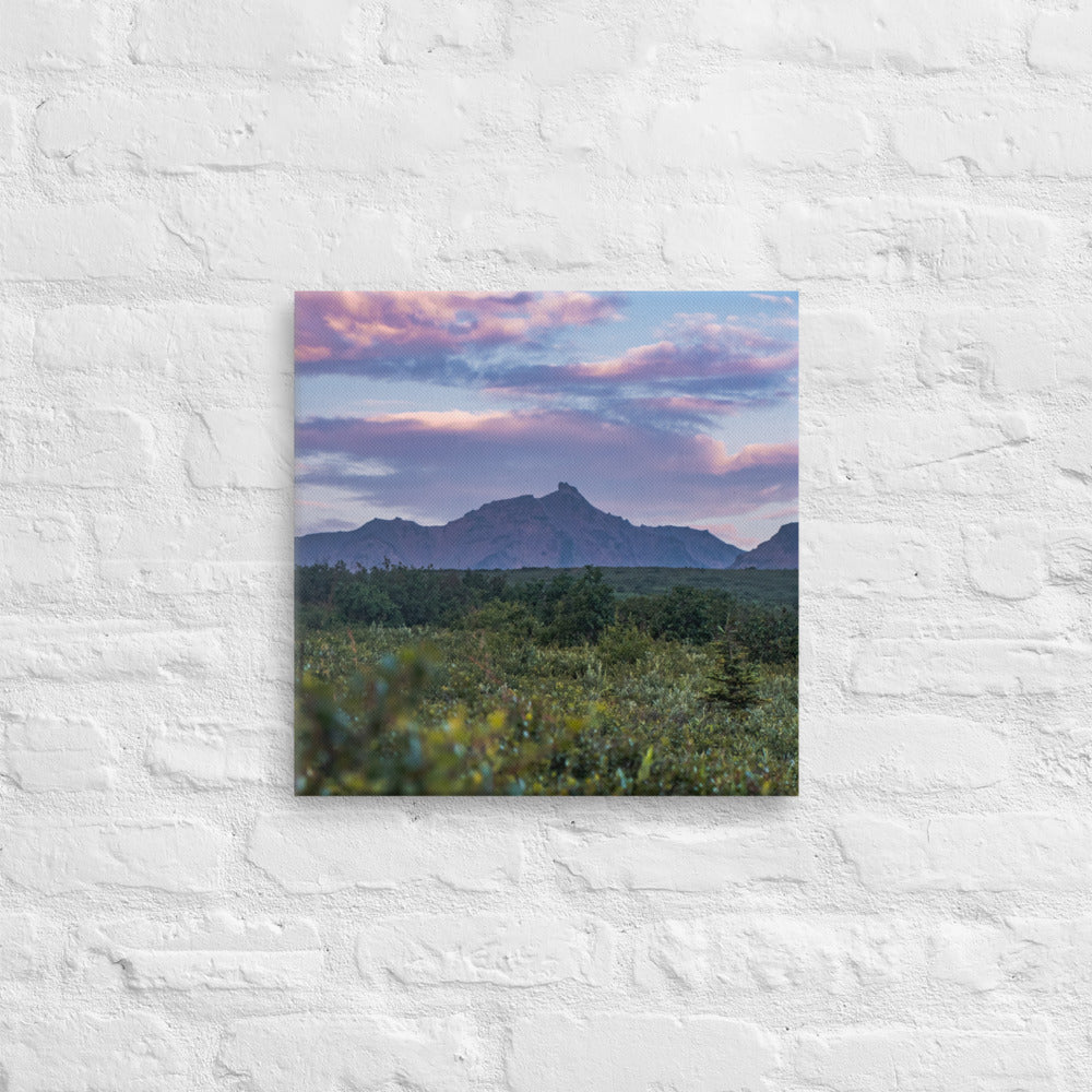 Denali Sunset Canvas