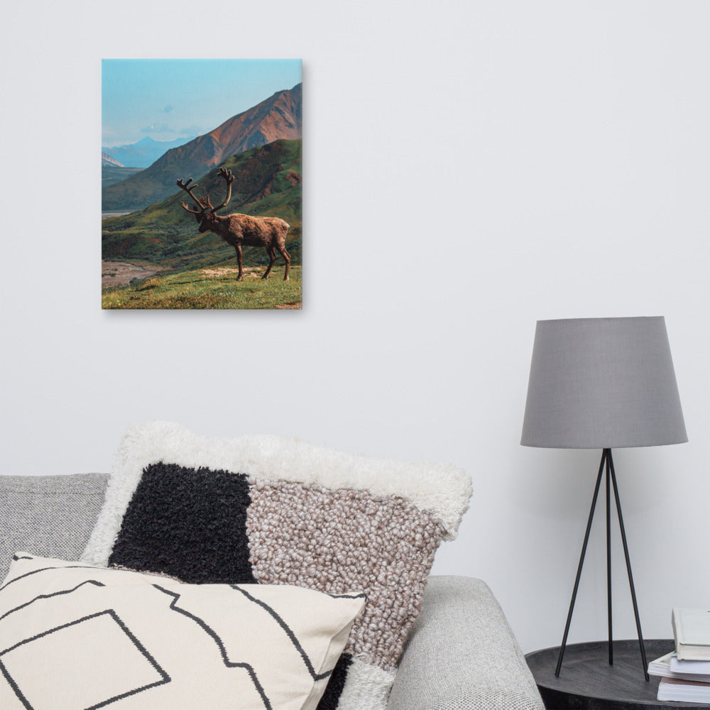 Caribou Valley Canvas