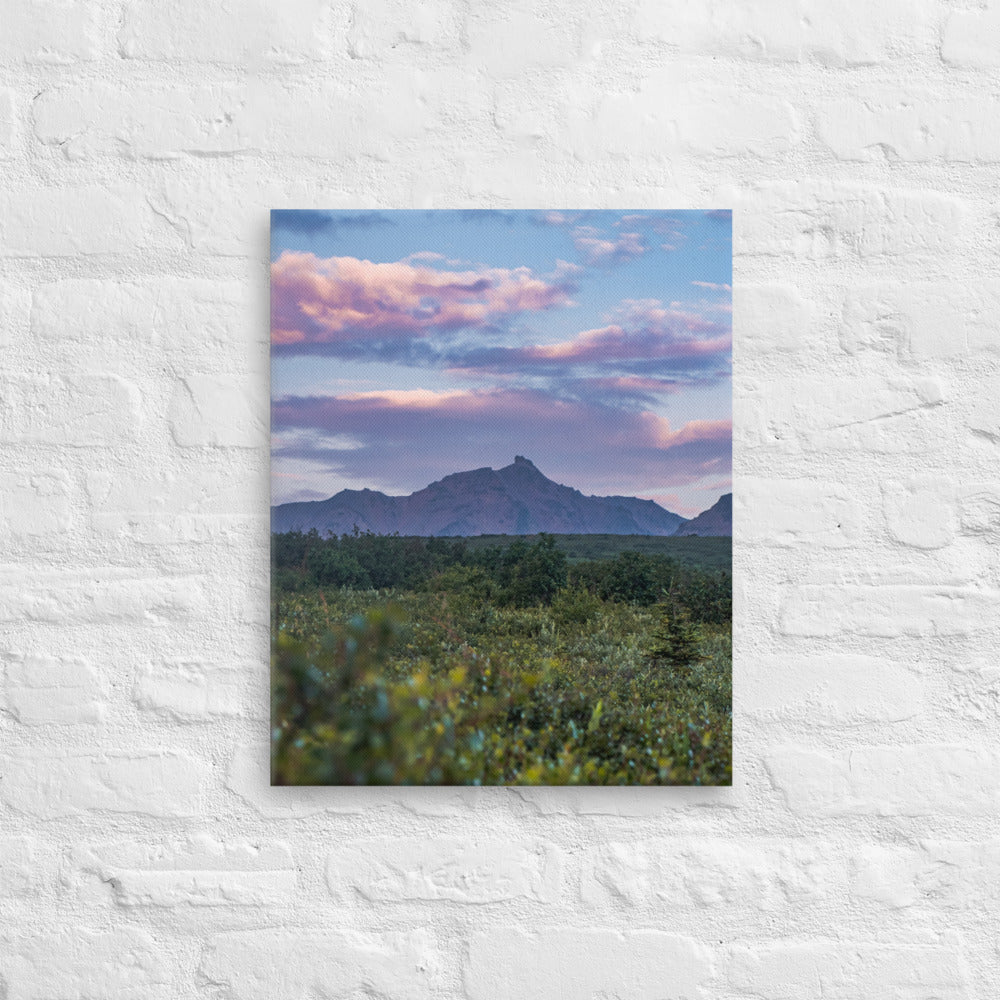 Denali Sunset Canvas