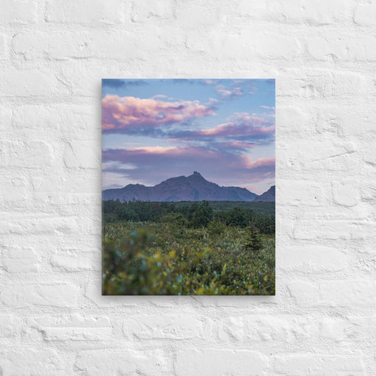 Denali Sunset Canvas