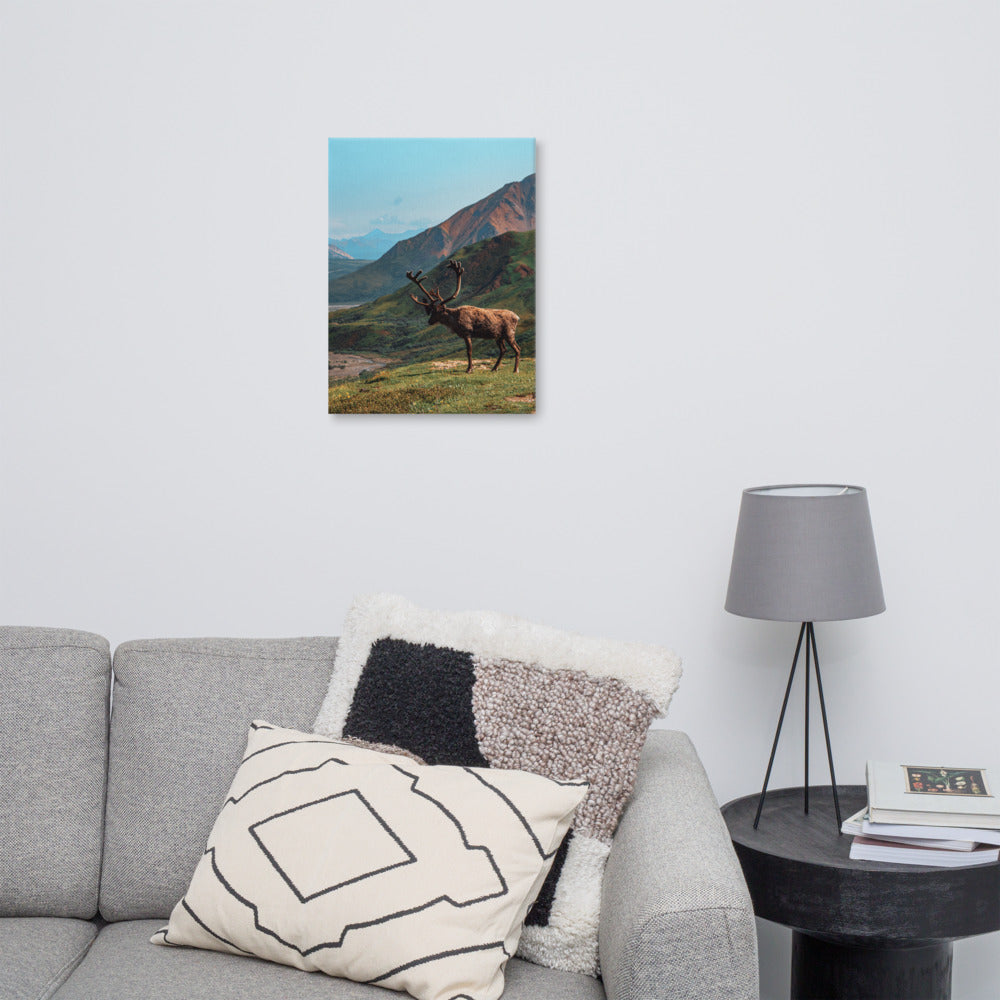 Caribou Valley Canvas