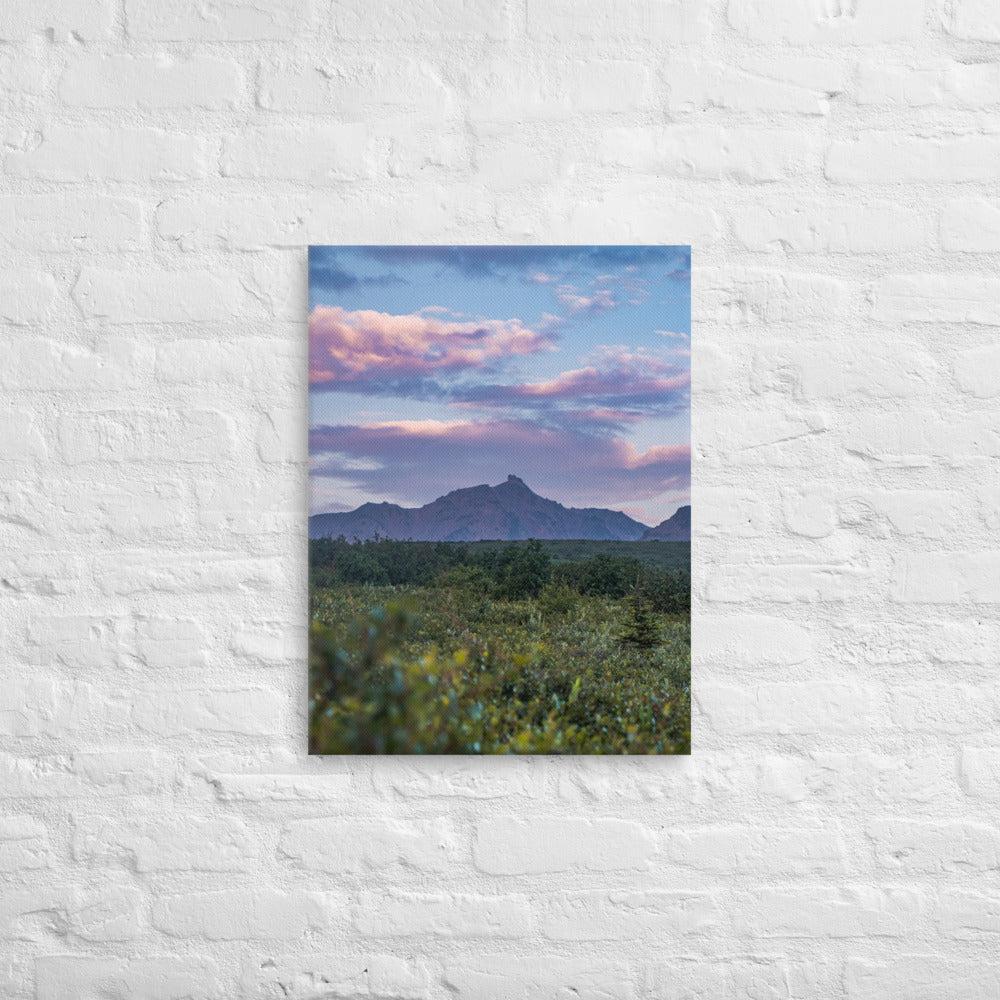 Denali Sunset Canvas
