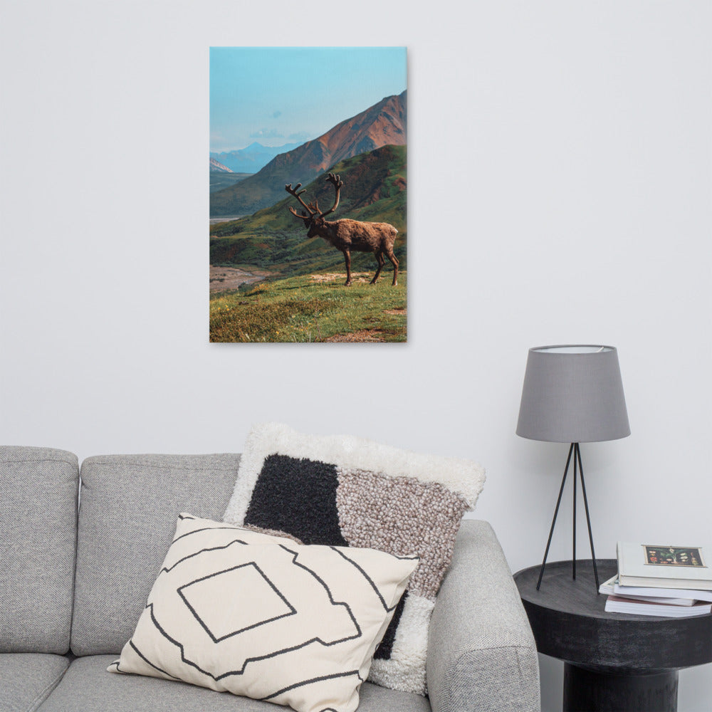 Caribou Valley Canvas