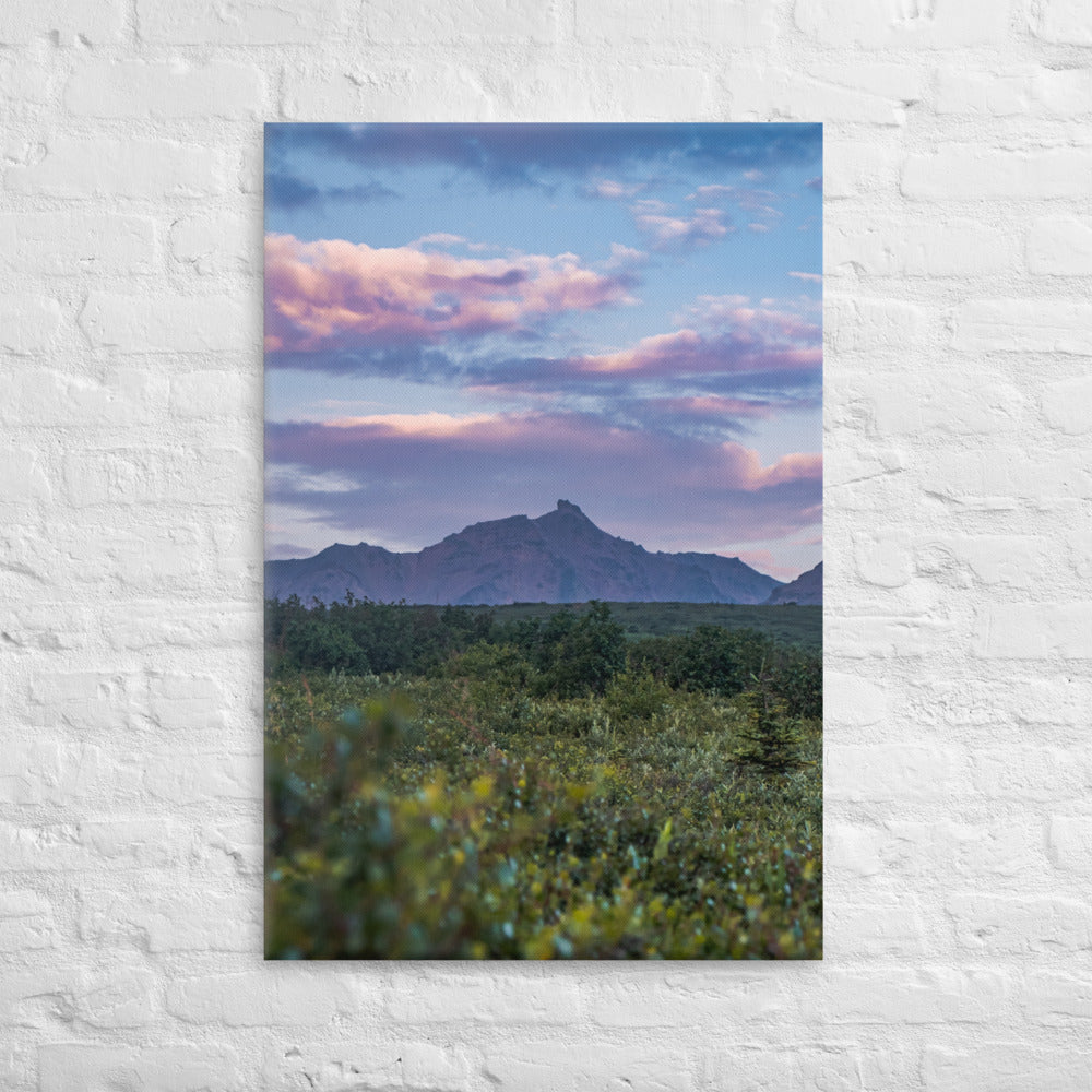 Denali Sunset Canvas