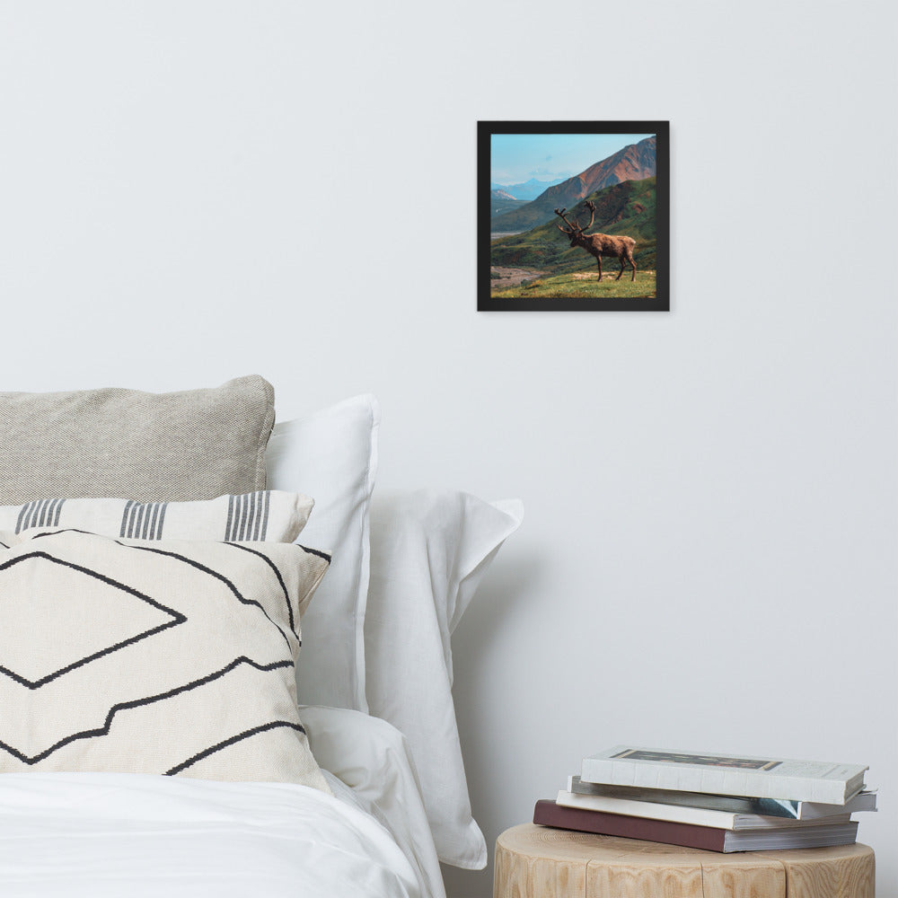 Caribou Valley Framed Print
