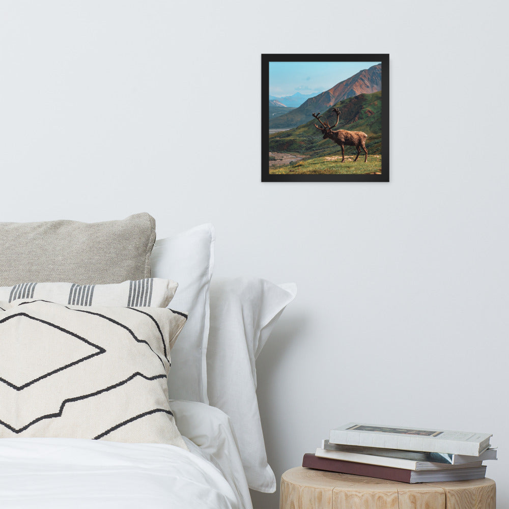 Caribou Valley Framed Print