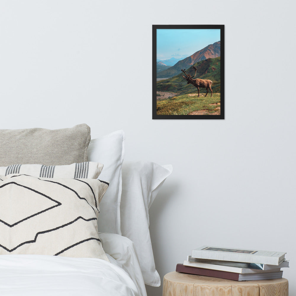 Caribou Valley Framed Print