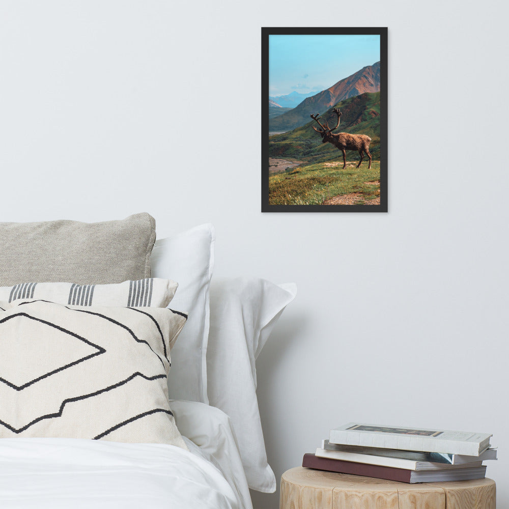 Caribou Valley Framed Print