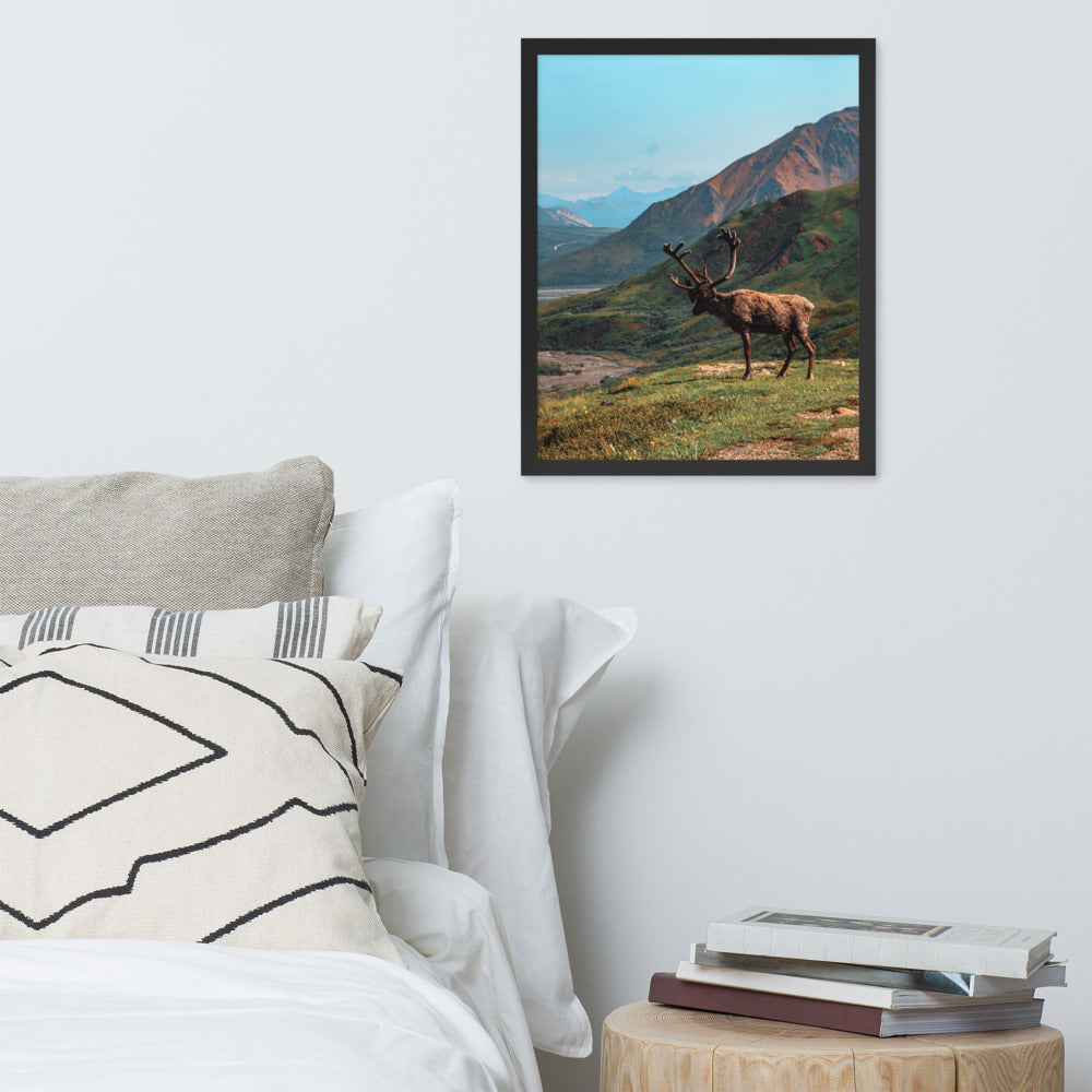 Caribou Valley Framed Print