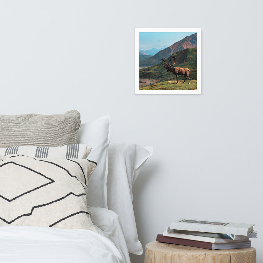 Caribou Valley Framed Print