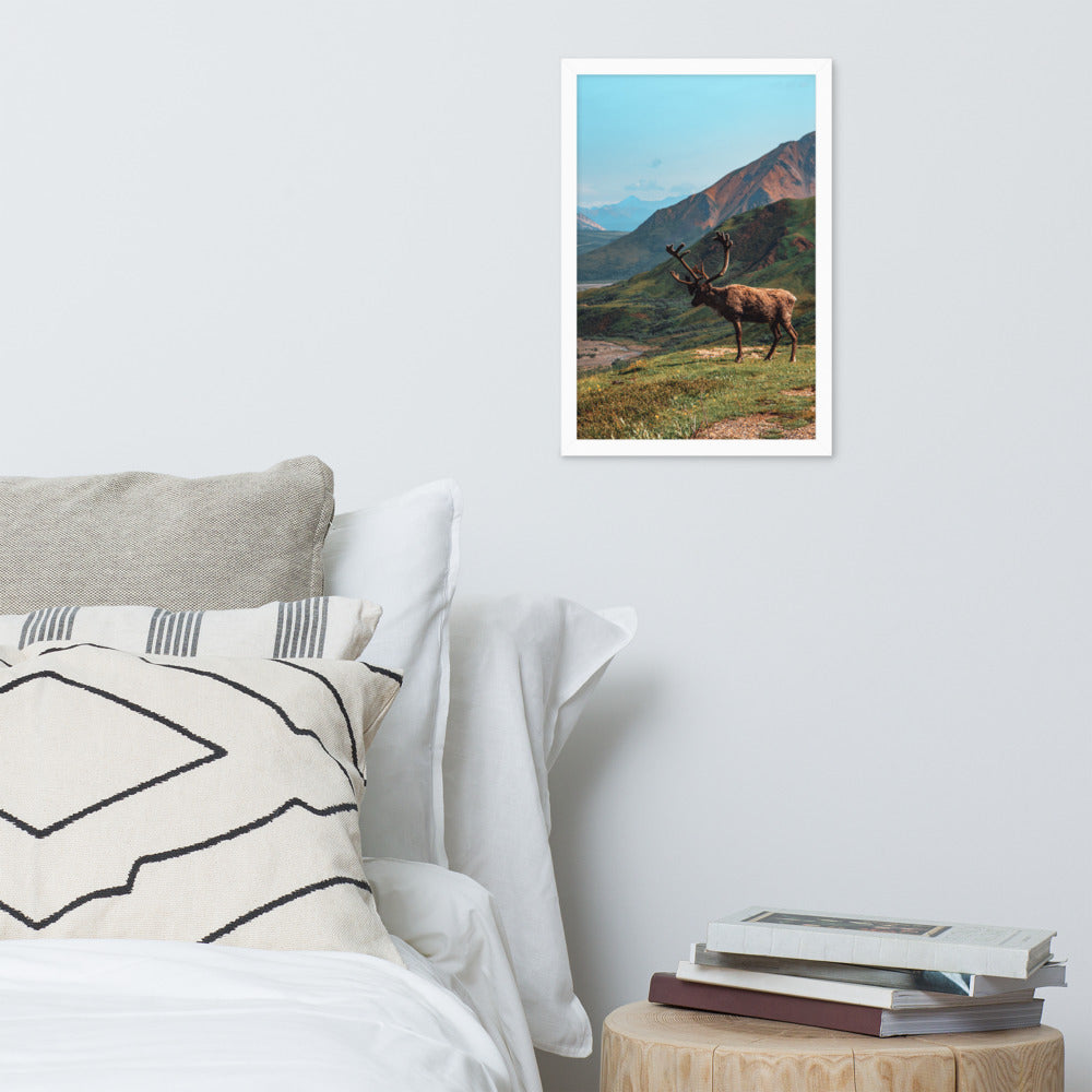 Caribou Valley Framed Print