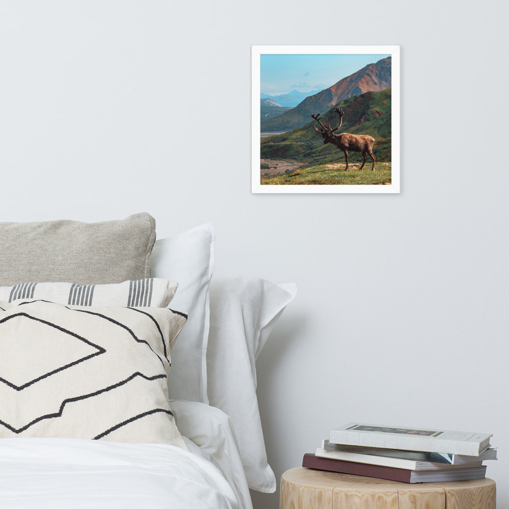 Caribou Valley Framed Print