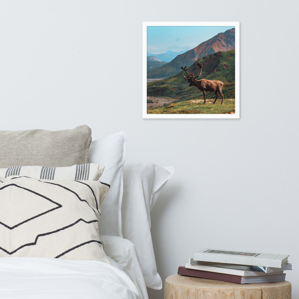 Caribou Valley Framed Print