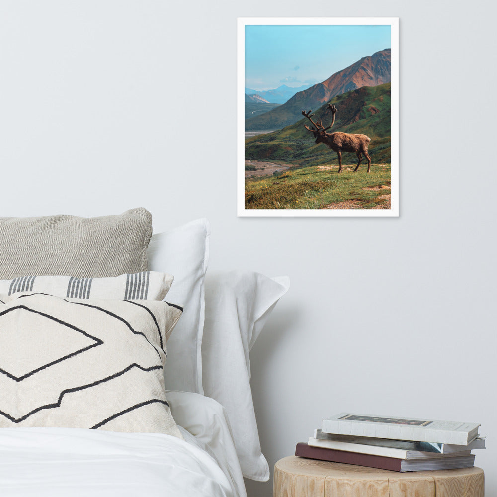 Caribou Valley Framed Print