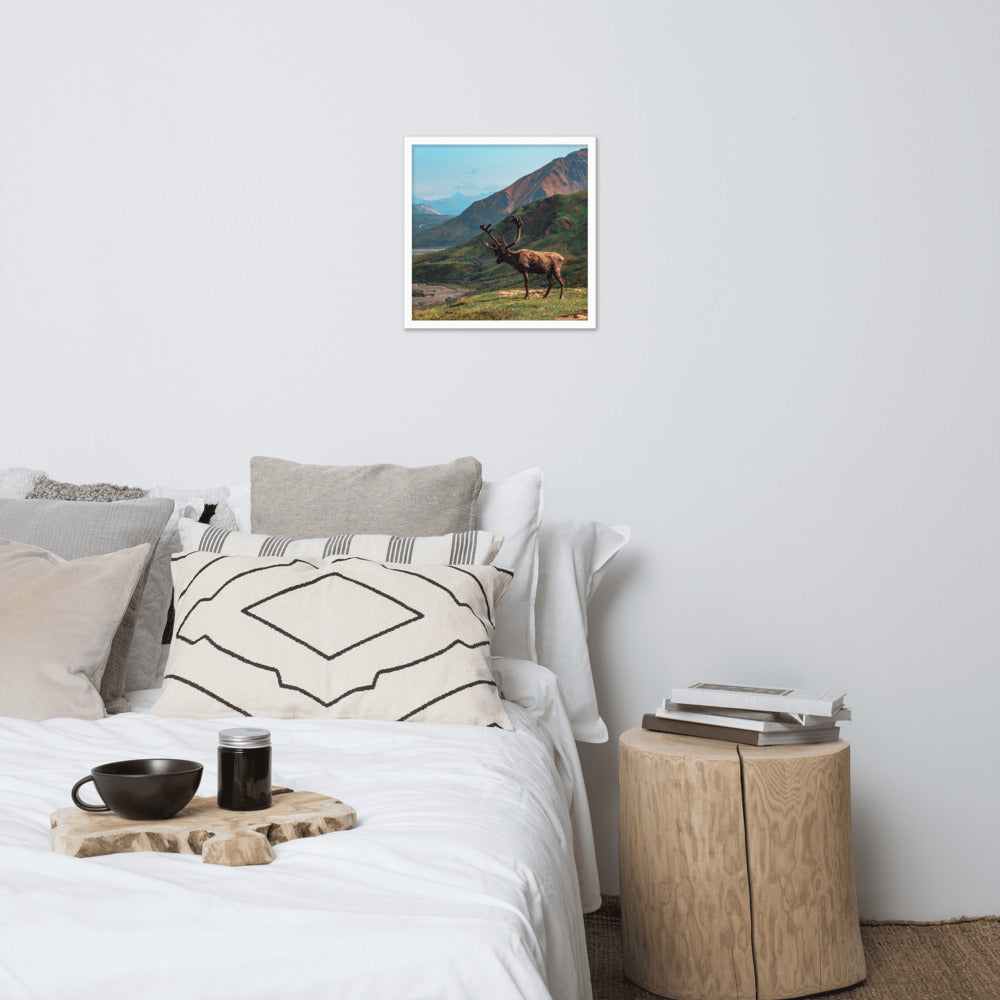 Caribou Valley Framed Print