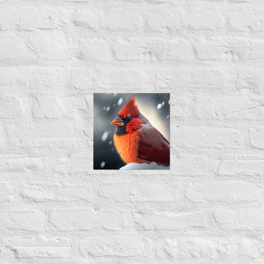 Winter Cardinal Premium Print