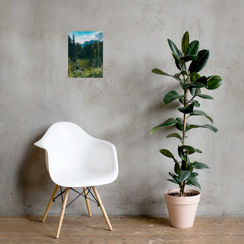 Mountain Meadow Matte Poster