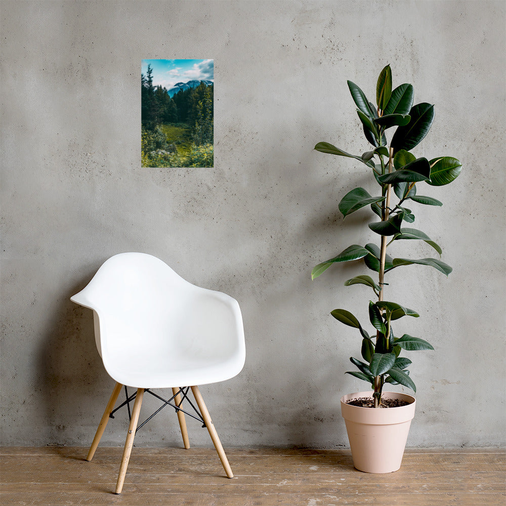 Mountain Meadow Matte Poster