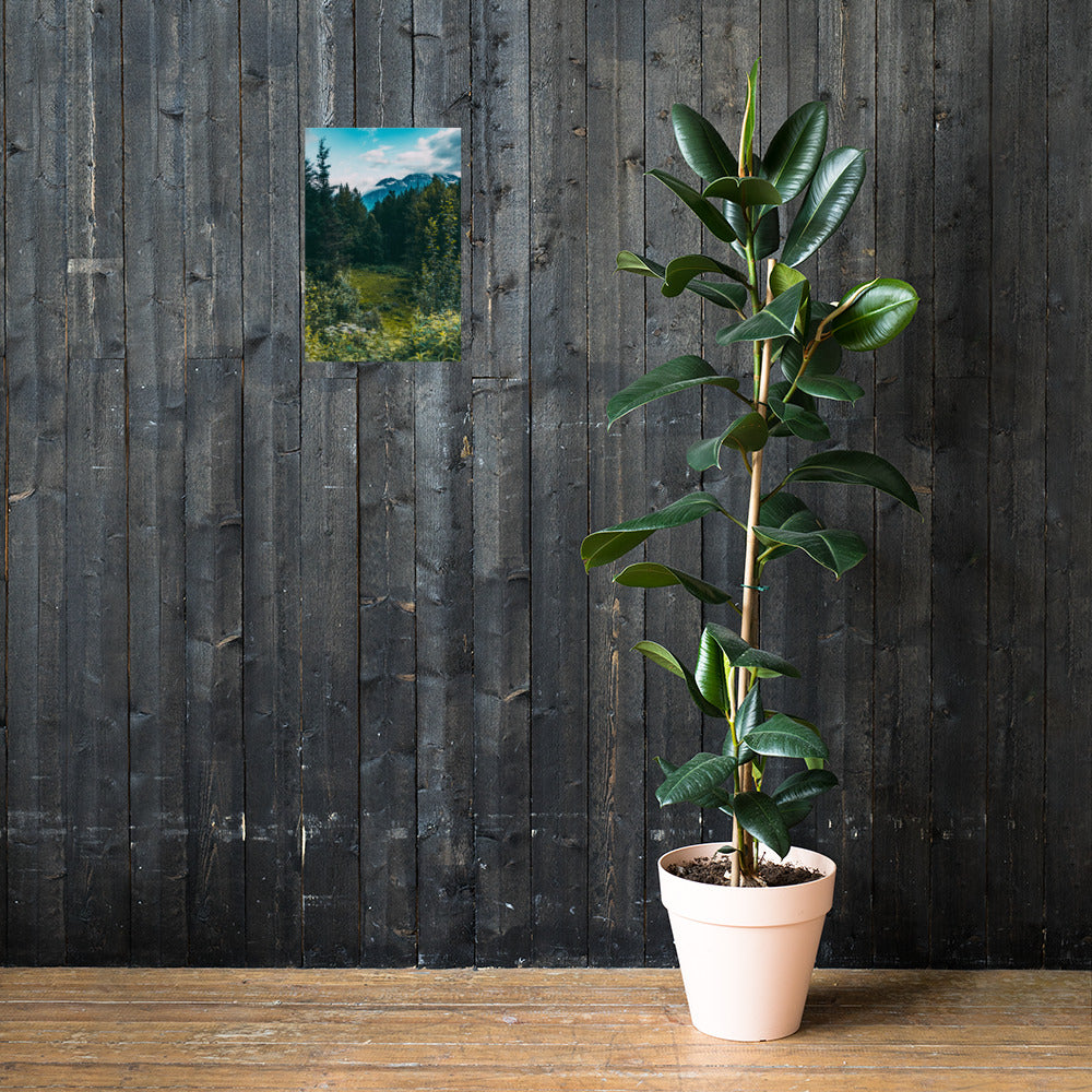 Mountain Meadow Matte Poster