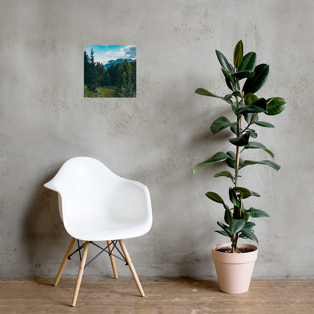 Mountain Meadow Matte Poster