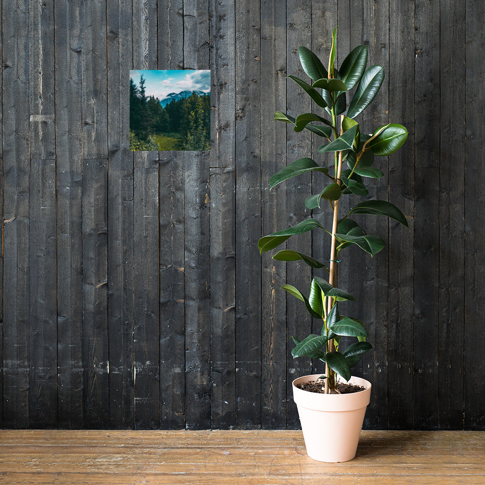 Mountain Meadow Matte Poster