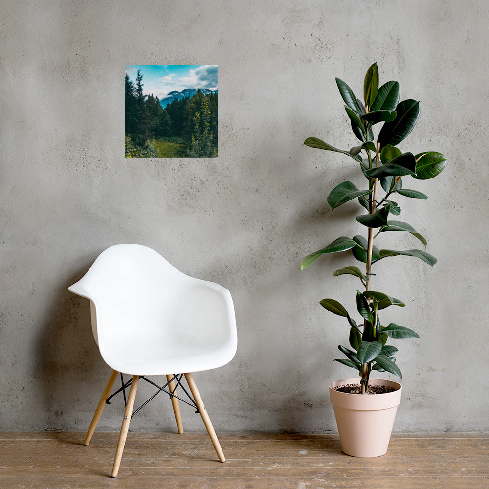 Mountain Meadow Matte Poster