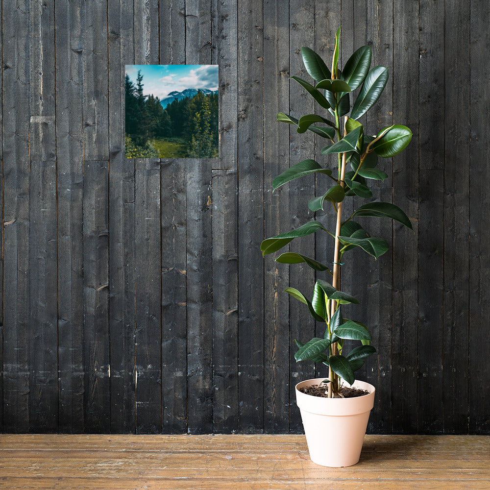 Mountain Meadow Matte Poster