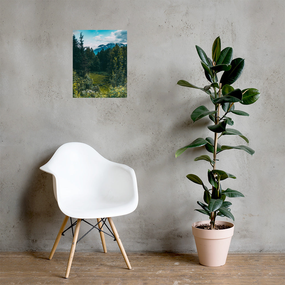 Mountain Meadow Matte Poster