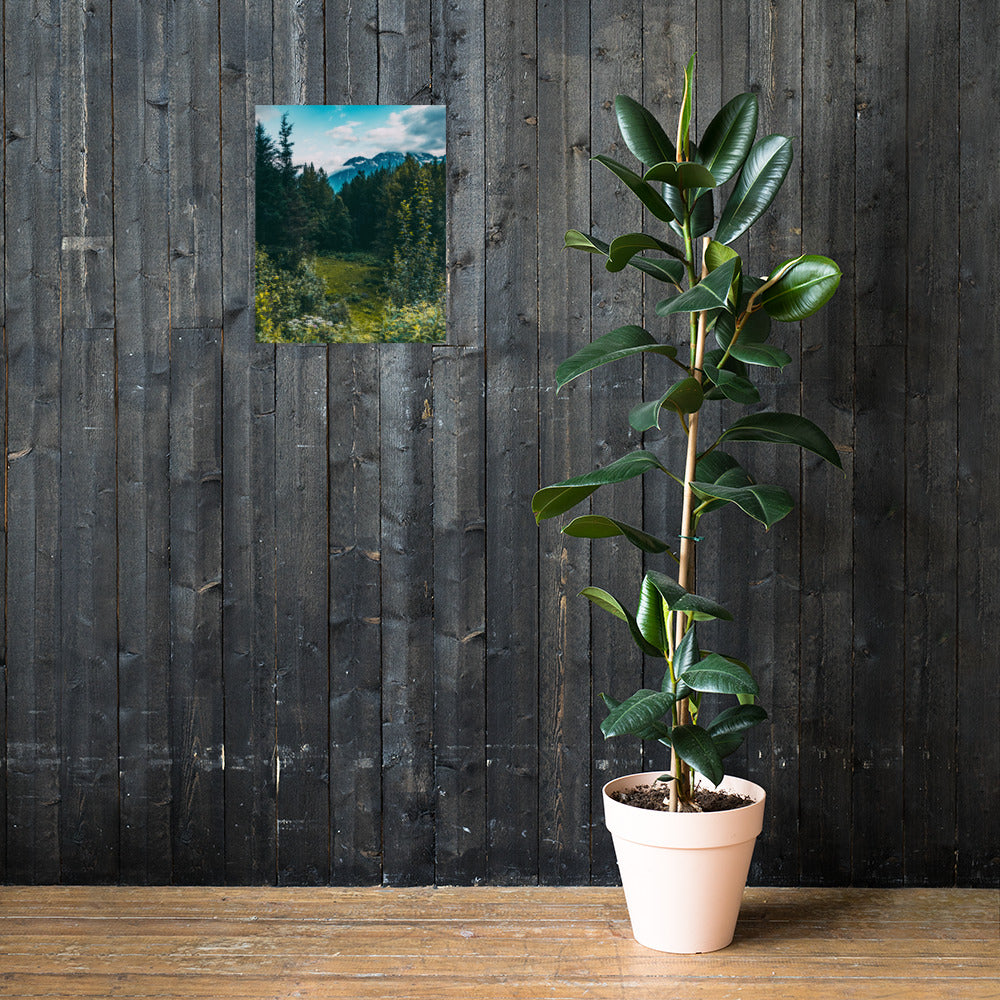 Mountain Meadow Matte Poster