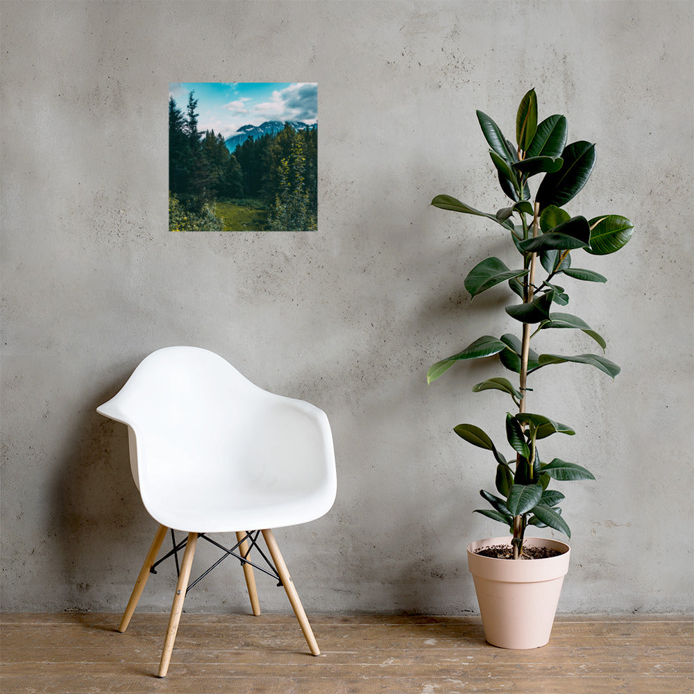 Mountain Meadow Matte Poster