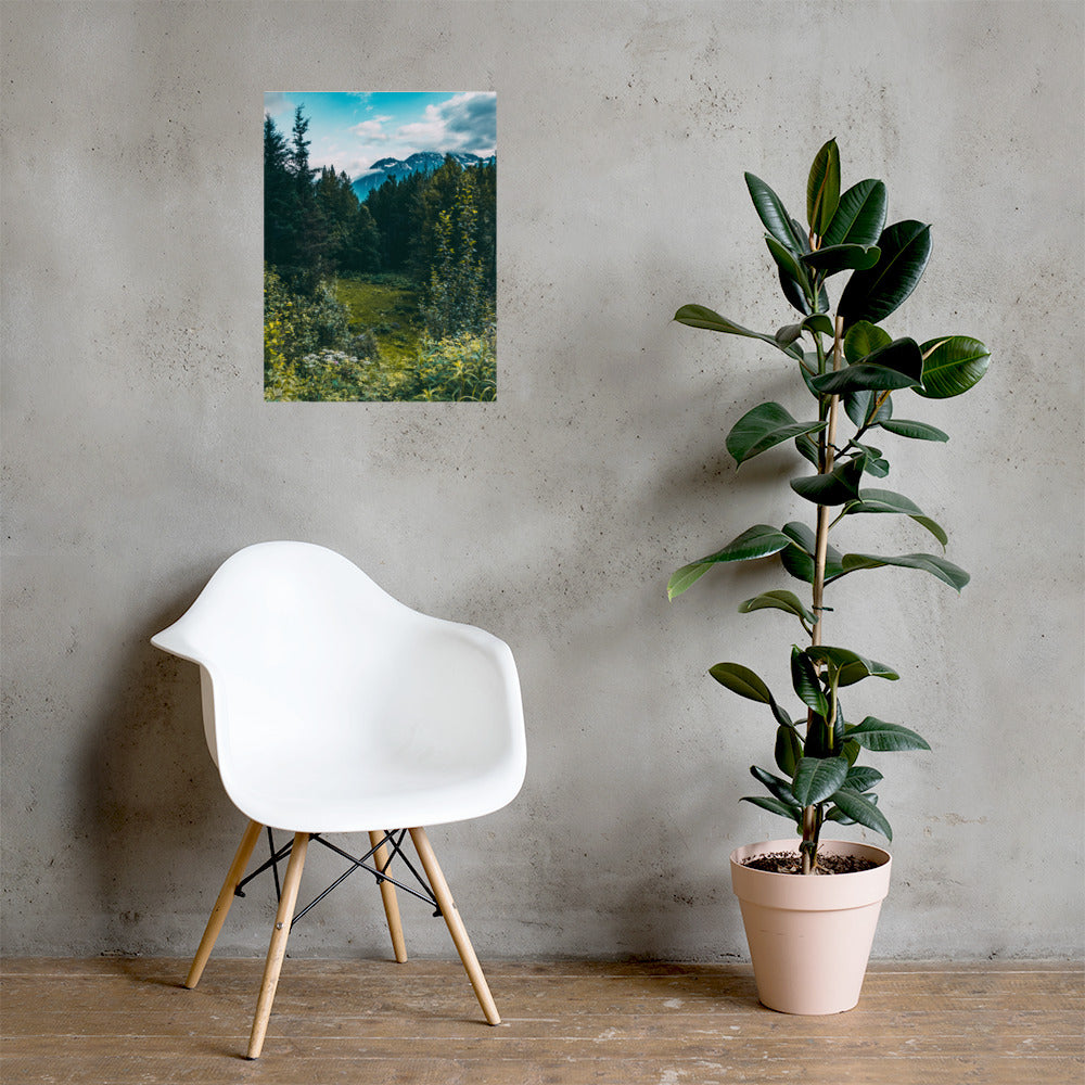 Mountain Meadow Matte Poster