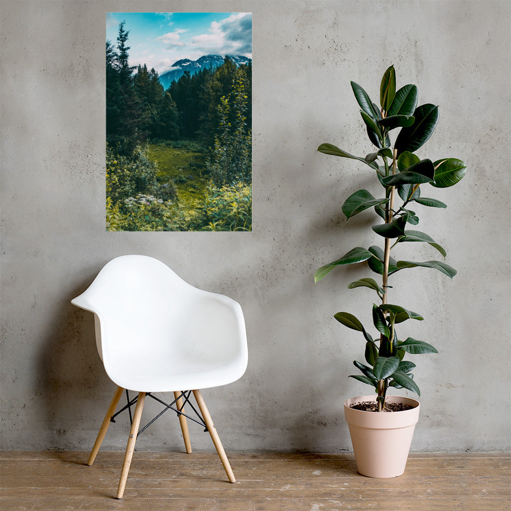 Mountain Meadow Matte Poster