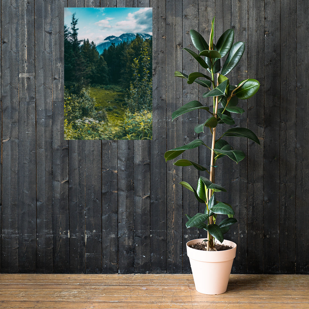 Mountain Meadow Matte Poster