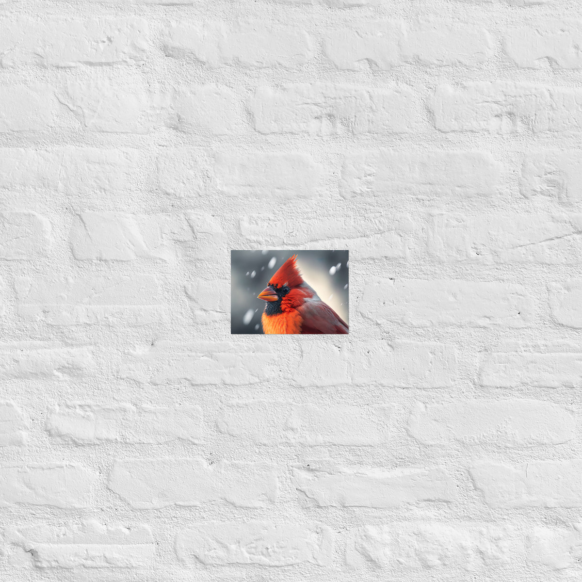 Winter Cardinal Premium Print